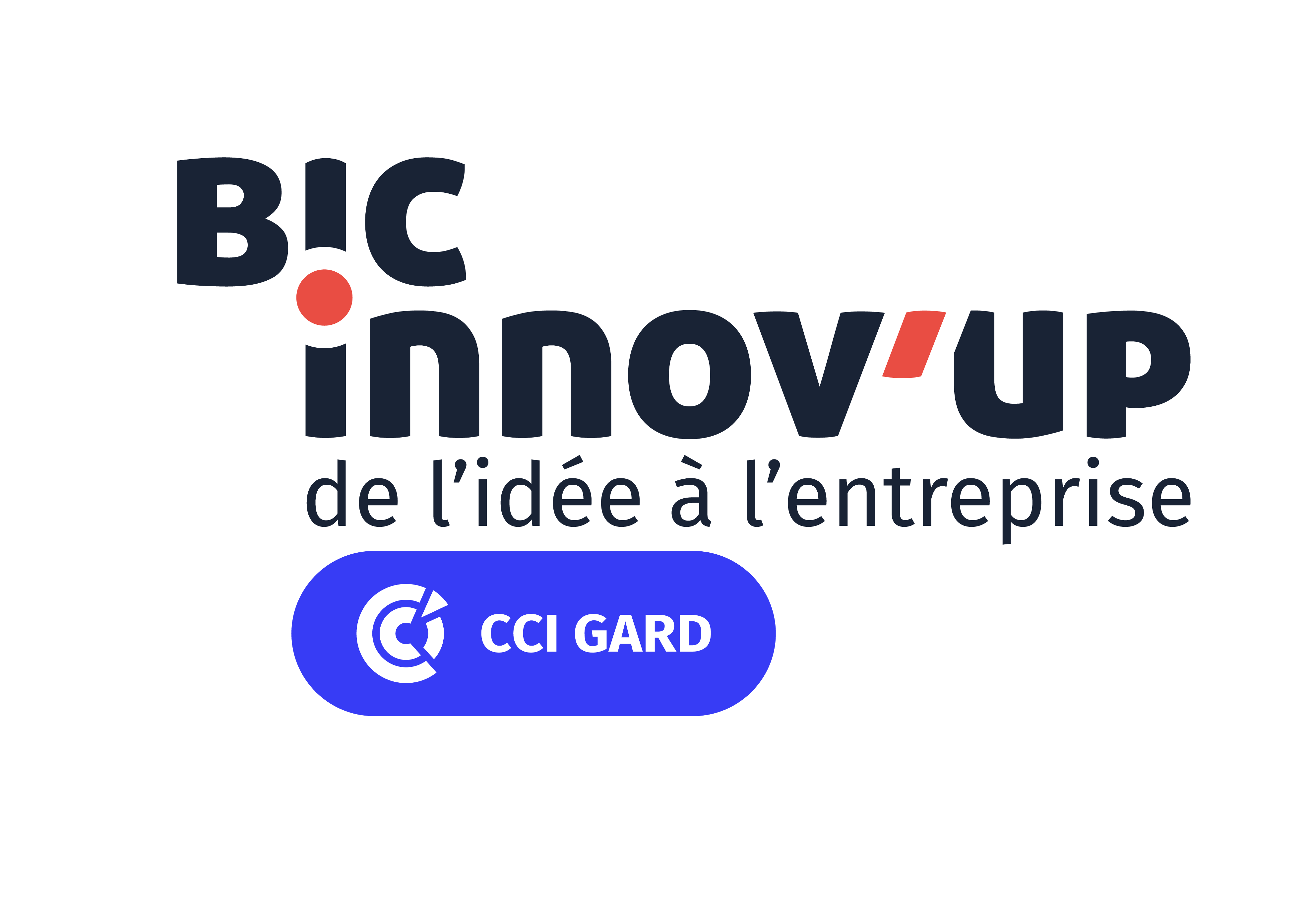 bic innov'up